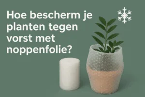 Planten beschermen tegen vorst met noppenfolie